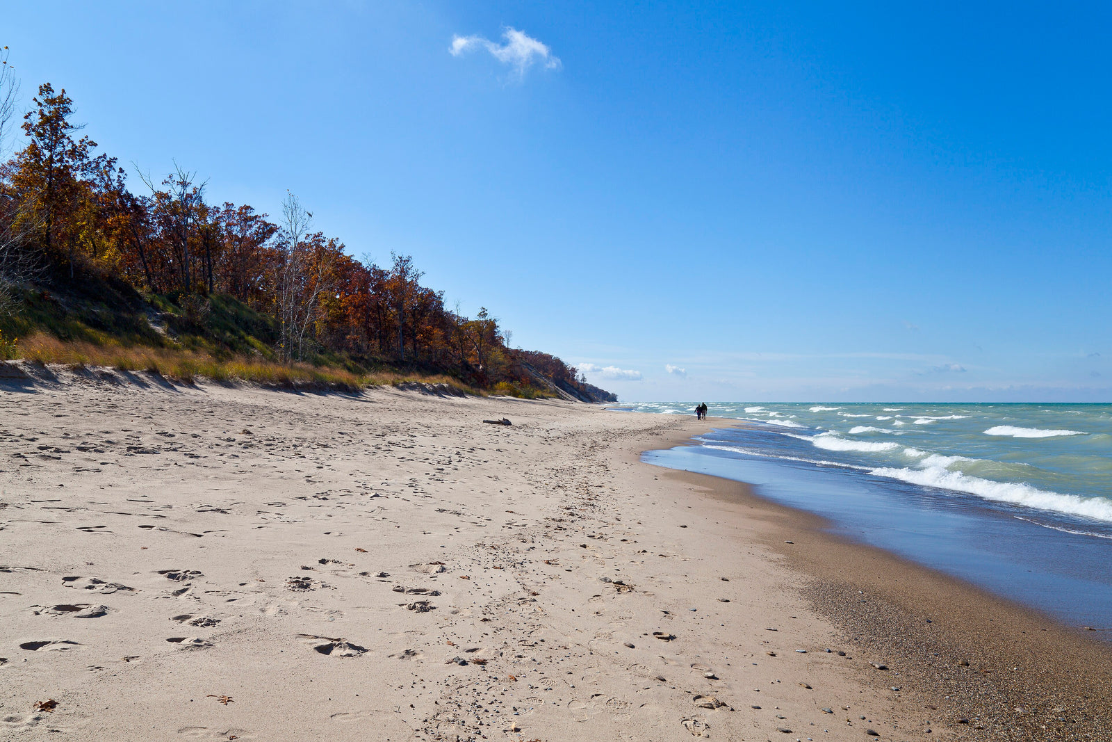 Indiana Dunes