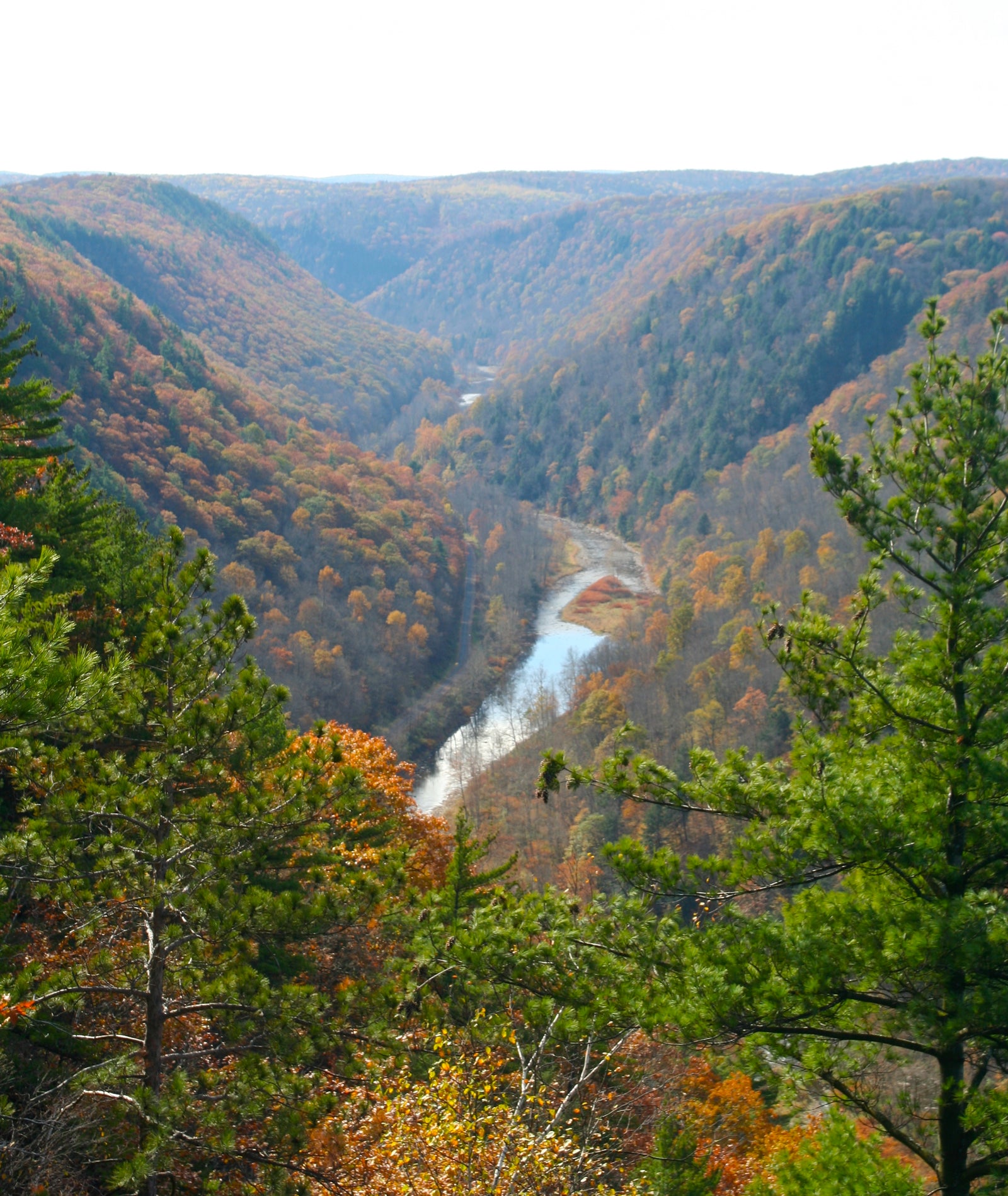 Pine Creek Gorge