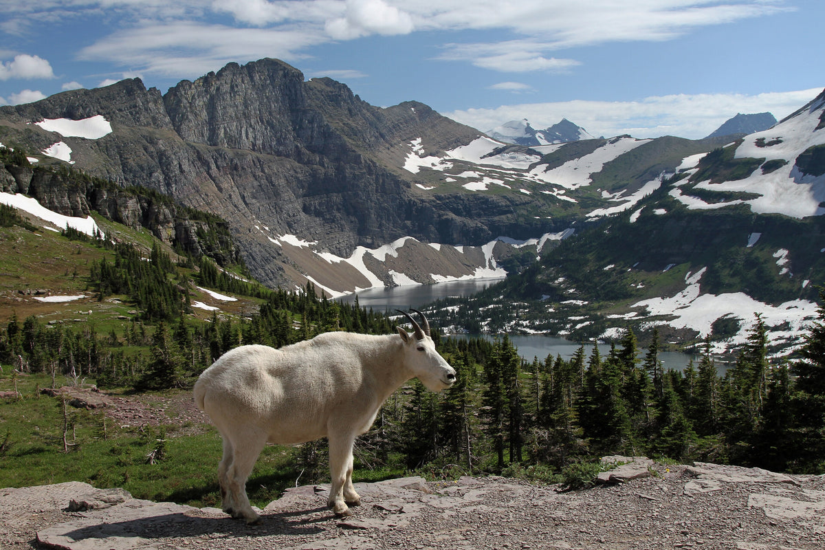 Souvenirs for National Park Gateway Towns