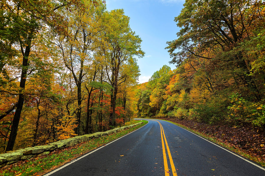 Shenandoah National Park, Virginia