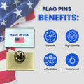 PIN - STATE FLAG HAWAII - USA