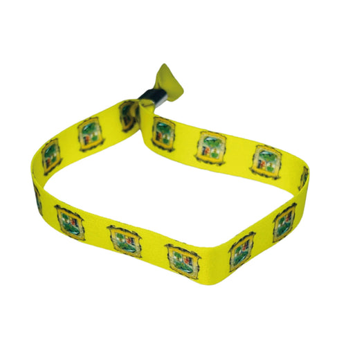 Woven Wristband – Shield of Coahuila – Mexico – P2600
