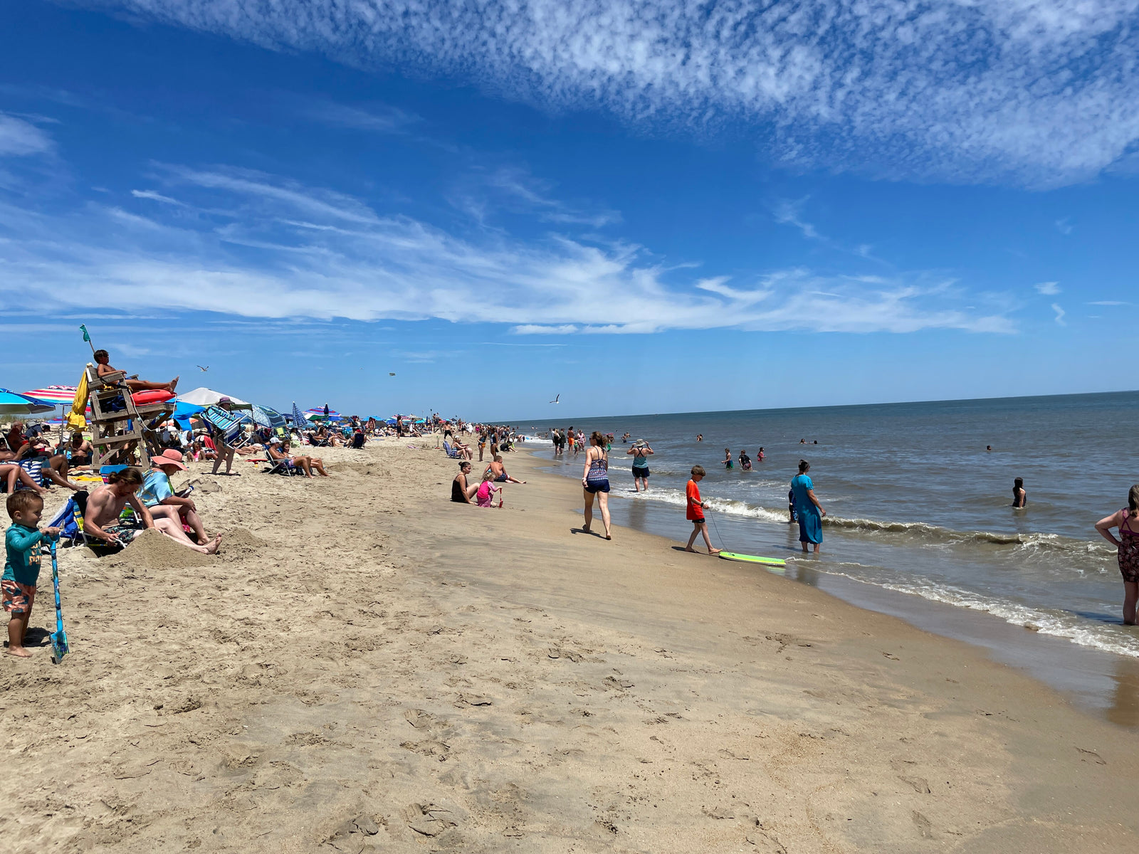 Cape Henlopen
