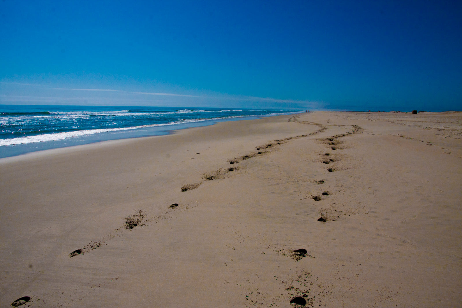 Assateague Island