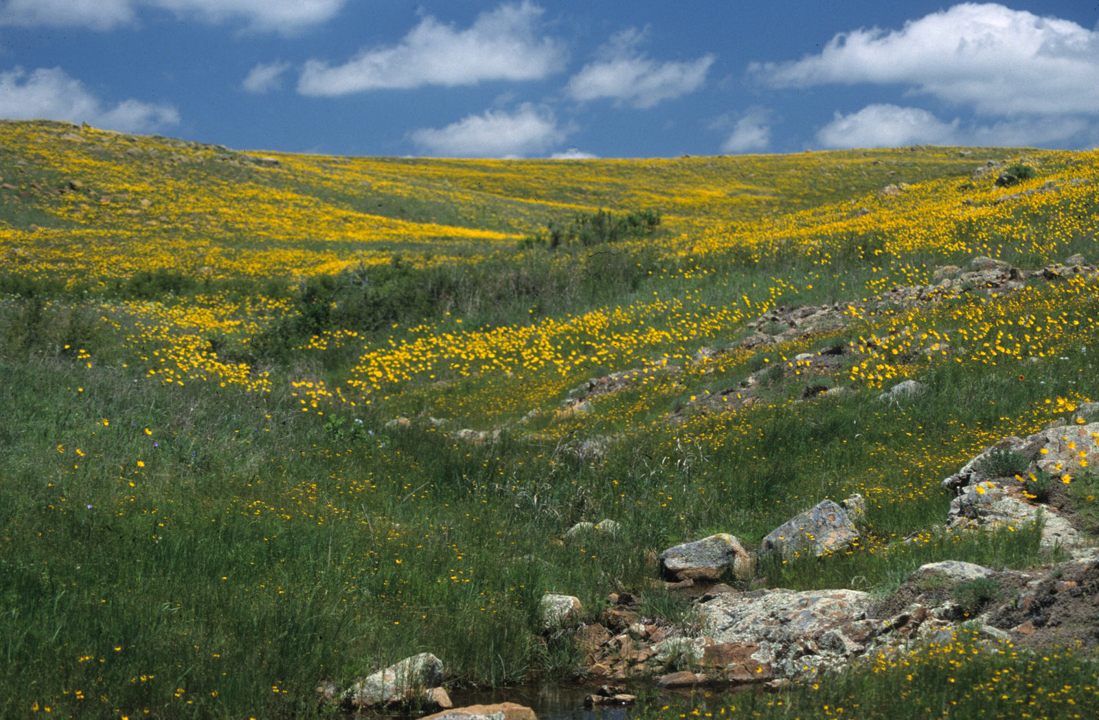 Wichita Mountains